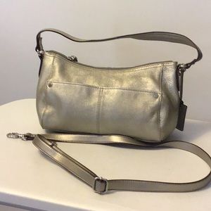 Silver Tignanello purse